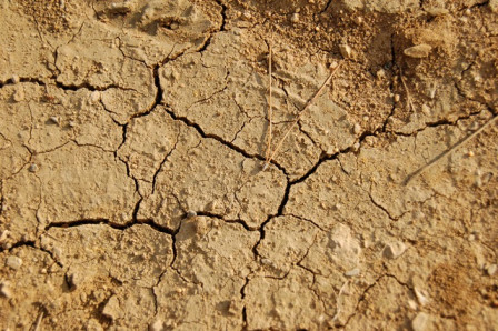 Terre_seche.JPG, mai 2025